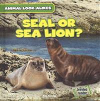 Seal or Sea Lion?