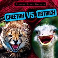 Herriott, C: Cheetah vs. Ostrich