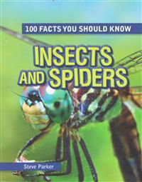 Insects and Spiders