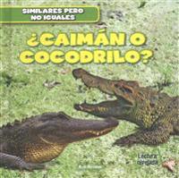 ¿Caimán O Cocodrilo? (Alligator or Crocodile?)