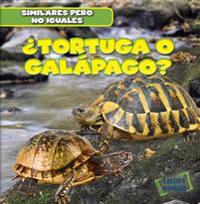 Bokomslag for "¿Tortuga O Galápago? (Turtle or Tortoise?)"