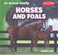 Horses and Foals