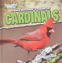 A Bird Watcher's Guide to Cardinals