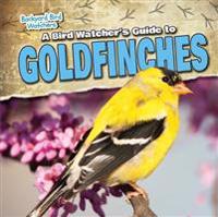 A Bird Watcher's Guide to Goldfinches