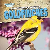 A Bird Watcher's Guide to Goldfinches