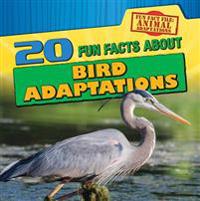 Bokomslag for "20 Fun Facts about Bird Adaptations"