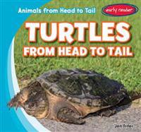 Turtles from Head to Tail