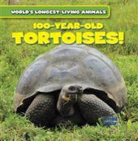 100-Year-Old Tortoises!