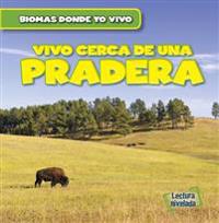 Vivo cerca de una pradera