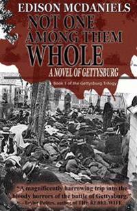 Not One Among Them Whole: A Novel of Gettysburg