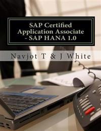 Sap Certified Application Associate
