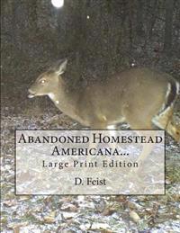 Abandoned Homestead Americana