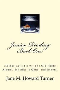 Junior Reading Books