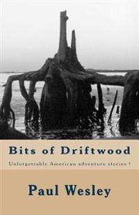 Bits of Driftwood