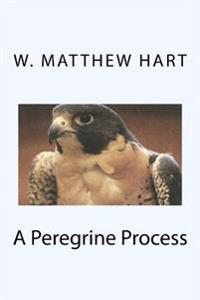 A Peregrine Process