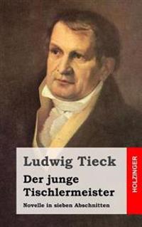 Der junge Tischlermeister: Novelle in sieben Abschnitten