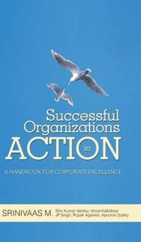 Successful Organizations in Action