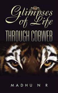 Glimpses of Life Through Cobweb