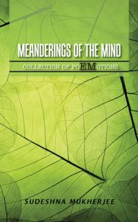 Meanderings of the Mind