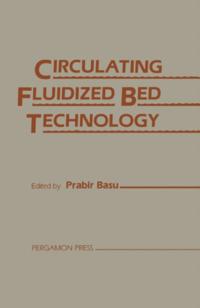 Circulating Fluidized Bed Technology