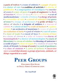 Peer Groups
