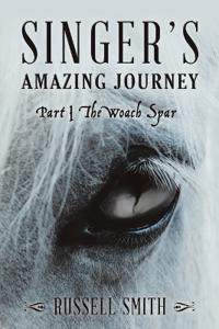 Singer's Amazing Journey