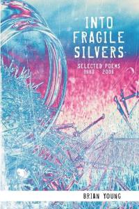 Bokomslag for "Into Fragile Silvers"