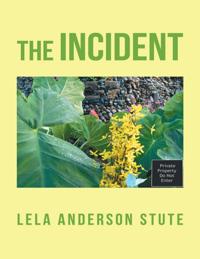 Incident