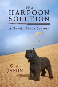 Harpoon Solution