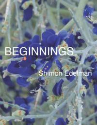 Beginnings