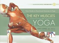 Key Muscles of Yoga