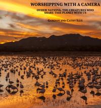 Worshipping with a Camera