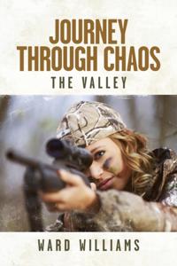 Journey Through Chaos: The Valley