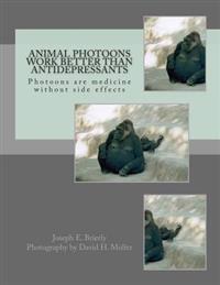 Animal Photoons Work Better Than Antidepressants: Photoons are medicine without side effects
