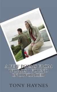 A Few Poems From Words I Found In Divorced