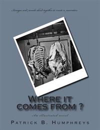 Where it comes from ?: An illustrated novel