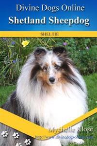 Shetland Sheepdogs: Divine Dogs Online