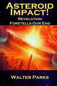 Asteroid Impact!