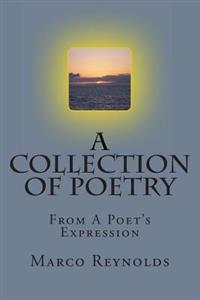 A Collection of Poetry