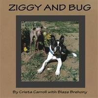 Ziggy and Bug