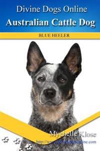 Australian Cattle Dogs