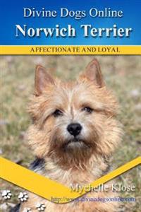 Norwich Terrier