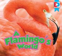Flamingo's World