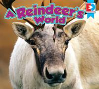 Reindeer's World