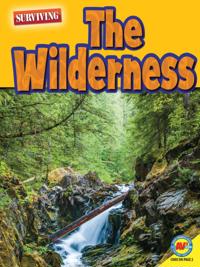 Wilderness