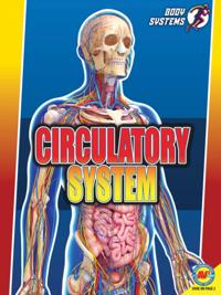 Circulatory System