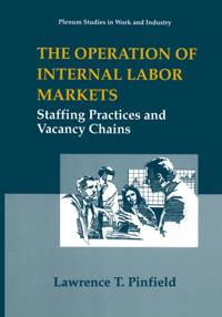 Springer Studies in Work and Industry