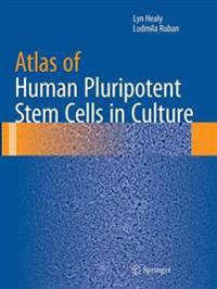 Atlas of Human Pluripotent Stem Cells in Culture
