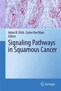 Bokomslag för "Signaling Pathways in Squamous Cancer"