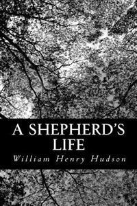 A Shepherd's Life: Impressions of the South Wiltshire Downs